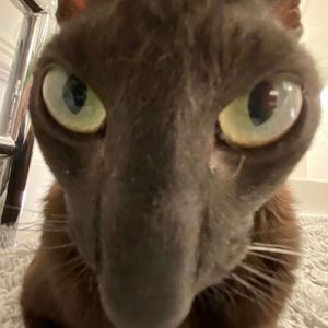 Meet your Posher, Jayden